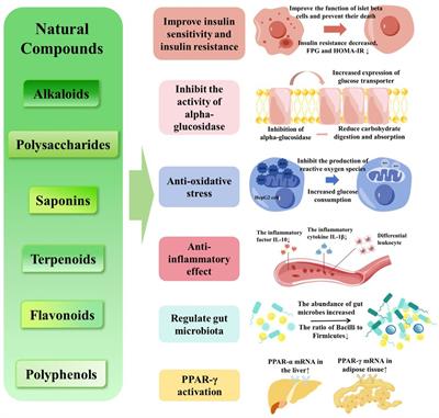 Application of natural compounds in the treatment and prevention of prediabetes